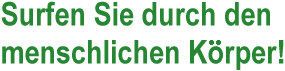 Surfen Sie durch den K&ouml;rper ...